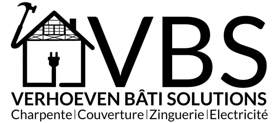 LogoBVS1